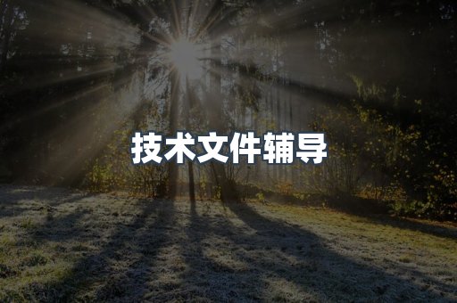 技术文件辅导